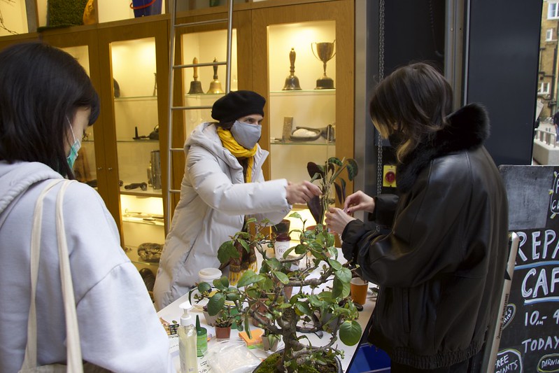 Welcoming rainforest Three people are gathered around a table covered in plants. One of the people is handing a plant cutting to another person to keep.