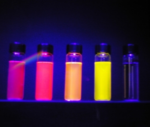 The Essence of Fluorescence