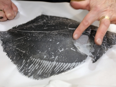 Festival of Stuff: Afternoon - Fish Printing Masterclass