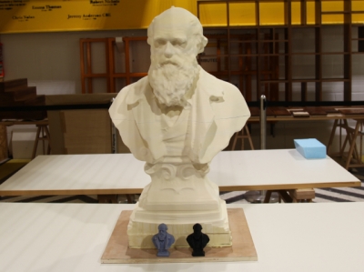 Darwin (or) Bust